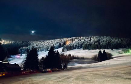 Ferienwohnung-direkt-am-Skihang mit Sauna - Foto 58