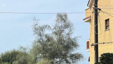 Casa sul mare Letizia - Foto 4