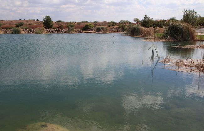 Canyon Villas at Coral Ridge - Foto 20