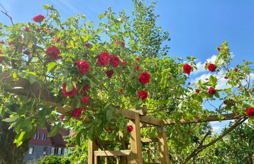 Regenbergblick - Foto 16