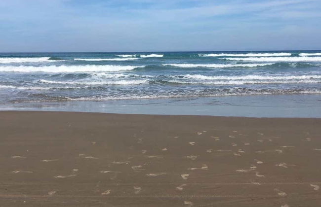 Tour di Tampico e della spiaggia di Miramar - Foto 2