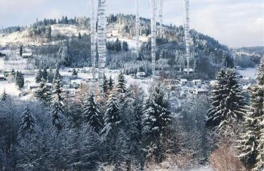 Klein Waldseele - Foto 34