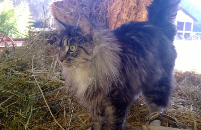 Agriturismo LA.TI.MI.DA. - Foto 24