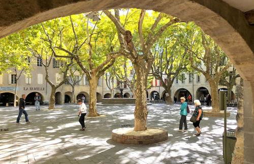 La DAME de FLAUX - Foto 16