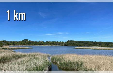 Dat-Klinkerhus-auf-Ruegen-XXL-Urlaubsparadies-nahe-Ostseestrand-Nationalpark-fuer-17-Gaeste - Foto 44
