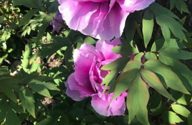 Residenza Ambrogi - Foto 40