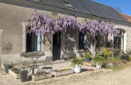 La Fermaletrie - Foto 1