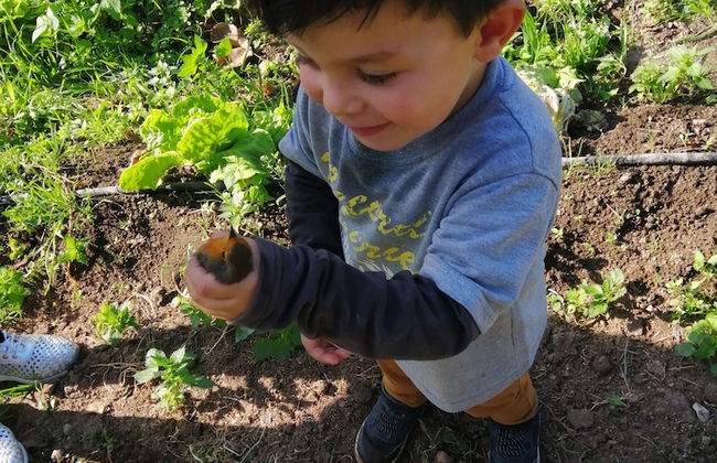 Agriturismo Castanito - Foto 38