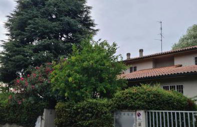 Apartament Cedro del Libano - Photo 4