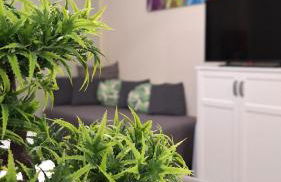 Al Glicine Apartments - Foto 45