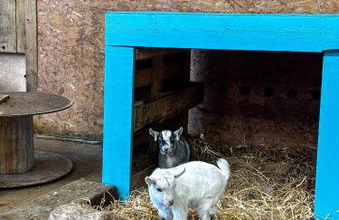 7, Rabbits Run, Camp Tapnell - Foto 30