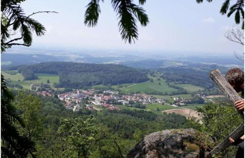 Family- friendly apartment in bavarian forest - Foto 19