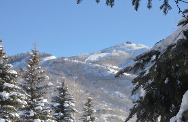 Cascades at Steamboat - Foto 37