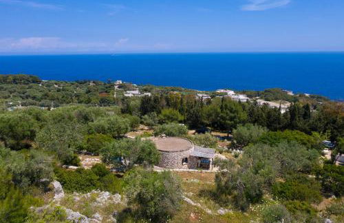 Pajara Rugiada - Foto 44