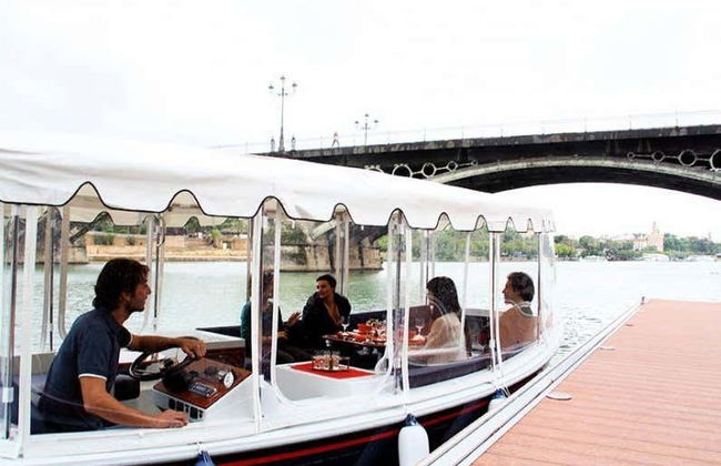 Paseo en barco privado por el río Guadalquivir - Foto 3