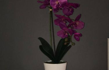 Matysiak Apartment - Foto 24