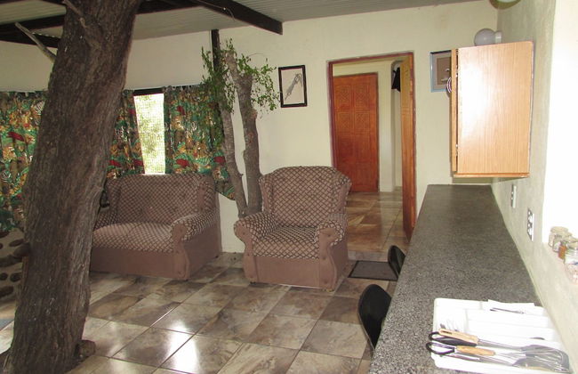 Amazing Tree in Lounge Eco Apartment With Leopards Passing by at Night - Foto 11