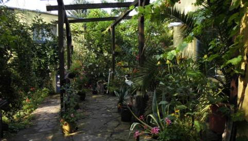 Haus Friedland - Foto 4