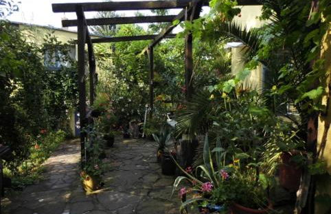 Haus Friedland - Foto 4