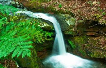 Casa do Avô Fernando - Photo 27