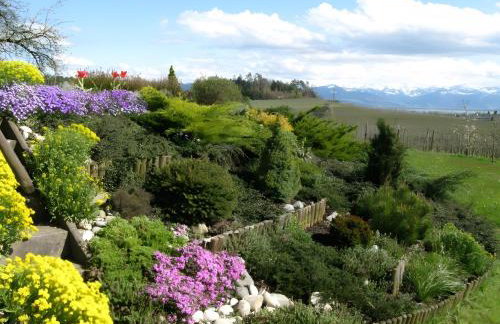 Landhaus Erben - Foto 3