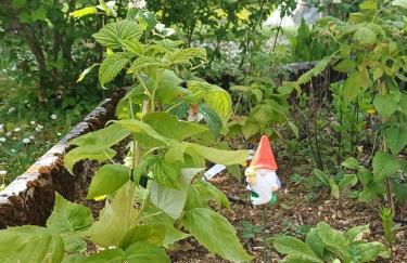 La maison des doux souvenirs - Foto 35