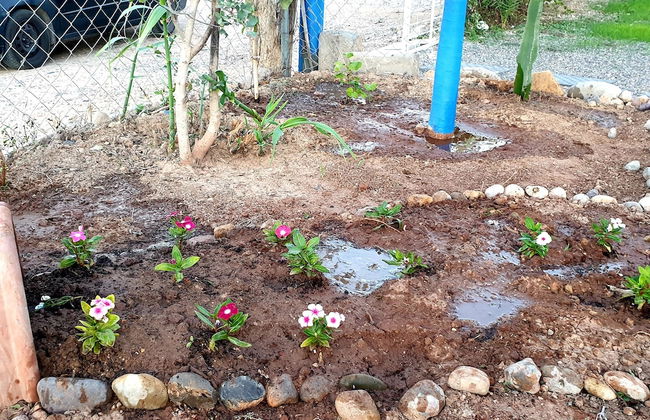 Banana beach house Morocco - Photo 22