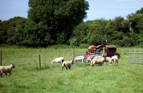 Coach House Faner - Foto 13