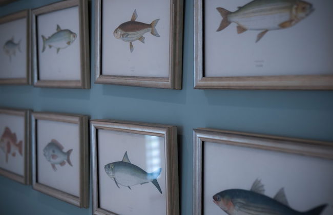 Highfield - 3 Bed - Llanmadoc - Photo 38