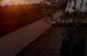 Artemis Sunrise - Foto 68