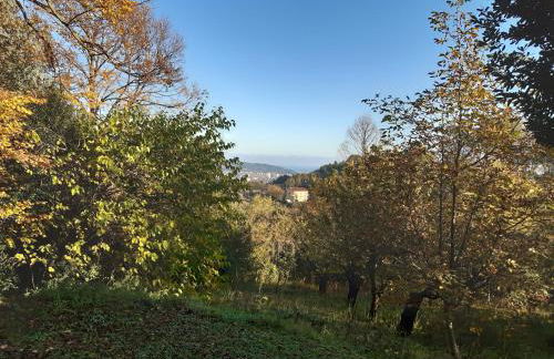 Granducato di Monteballante - Foto 23