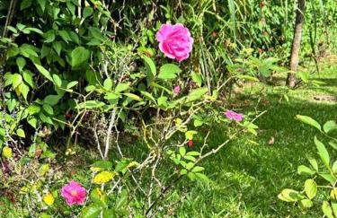 Refúgio na Serra Condomínio em Olaria, Nova Friburgo-RJ - Foto 66
