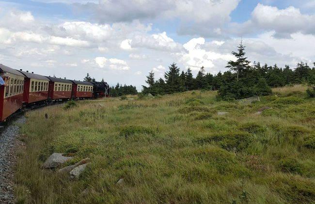 Gruppen- Ferienhaus in Wieda - Photo 37