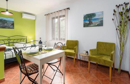 Studio Apartment - Foto 1