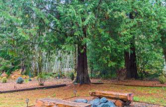 Trout Corner wooded tiny home - Foto 23