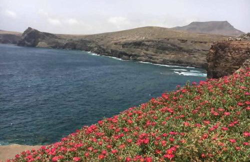 Villa Garoé - Foto 45