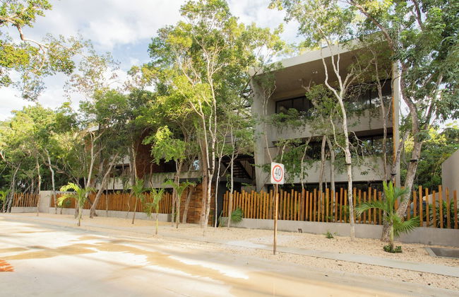 Arba Condo - Photo 53