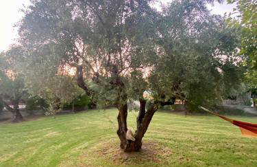 Vasiliki's House Zacharo , 27054 , Ilias - Foto 13