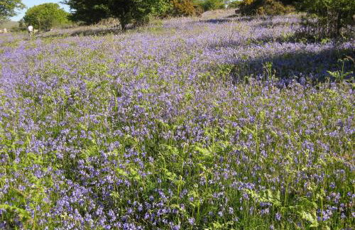 Butterbrook Coach House - Foto 19
