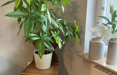 Ferienwohnung im Aalbachtal - Uettingen bei Würzburg - Foto 22