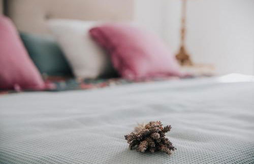 Suites House Denia - Foto 15