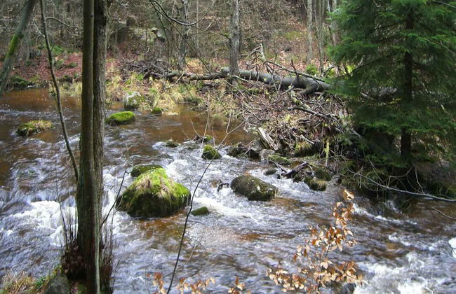 Blockhaus, Schierke - Foto 63