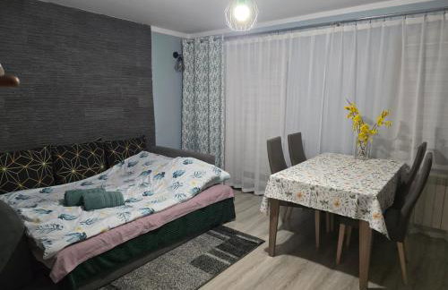 Mieszkanie 44 w Karkonoszach - Foto 10