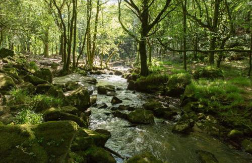Tinners Cottage - Foto 25