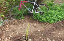 Casa Nieves de Mario - Foto 34