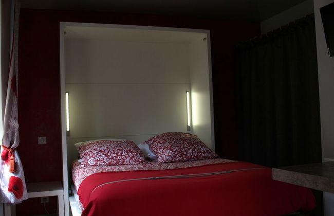 Les Hellebores - Foto 10