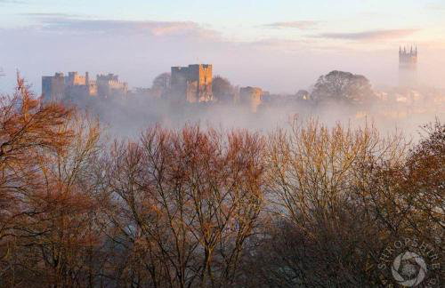Wisteria Cottages are self catering cottages in a beautiful village location - Foto 29