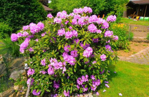 Sonnenblick - Photo 9