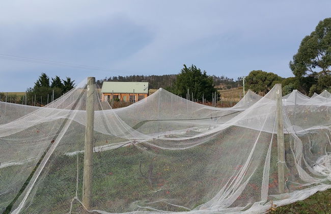 Charles Reuben Estate - Foto 36