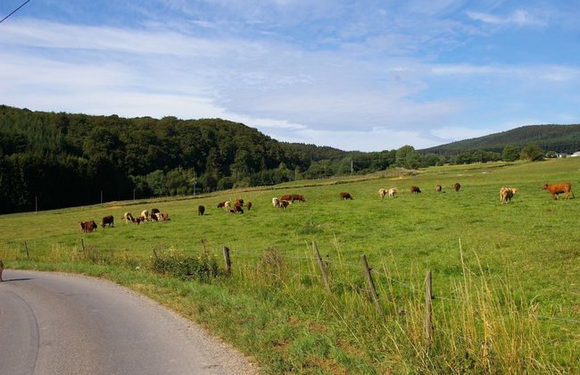 Lovely Holiday Home in Stipshausen With Terrace - Foto 58
